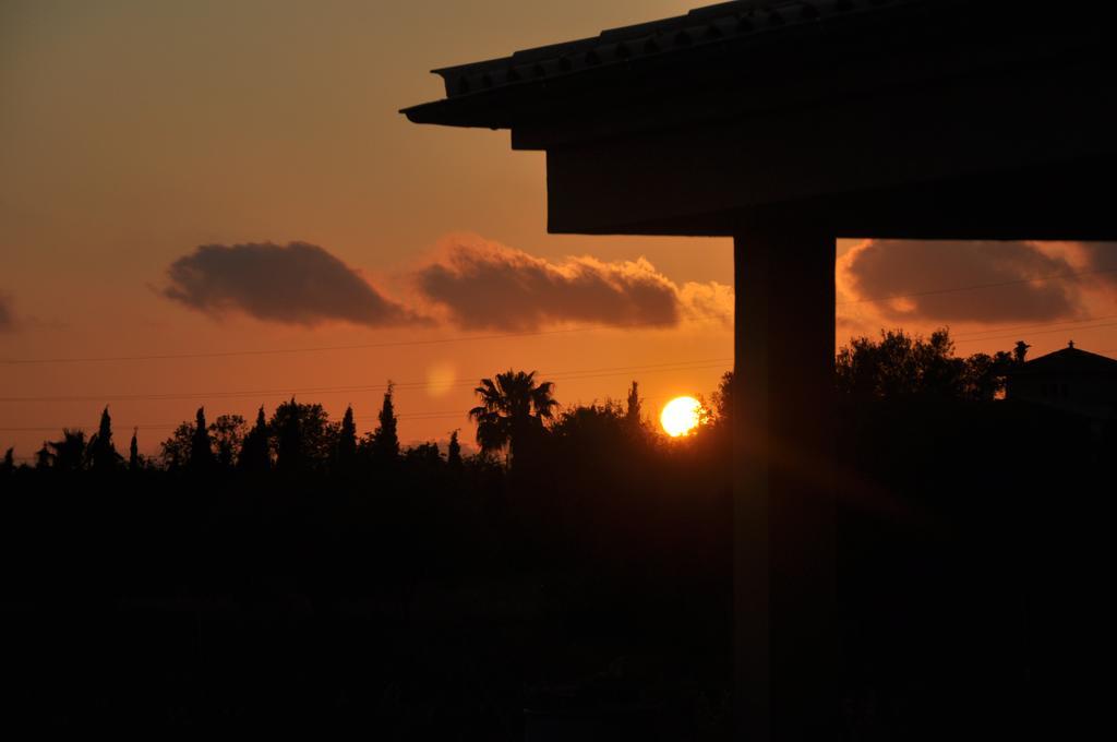 Alegria - Son Sampoli Llucmajor (Mallorca)