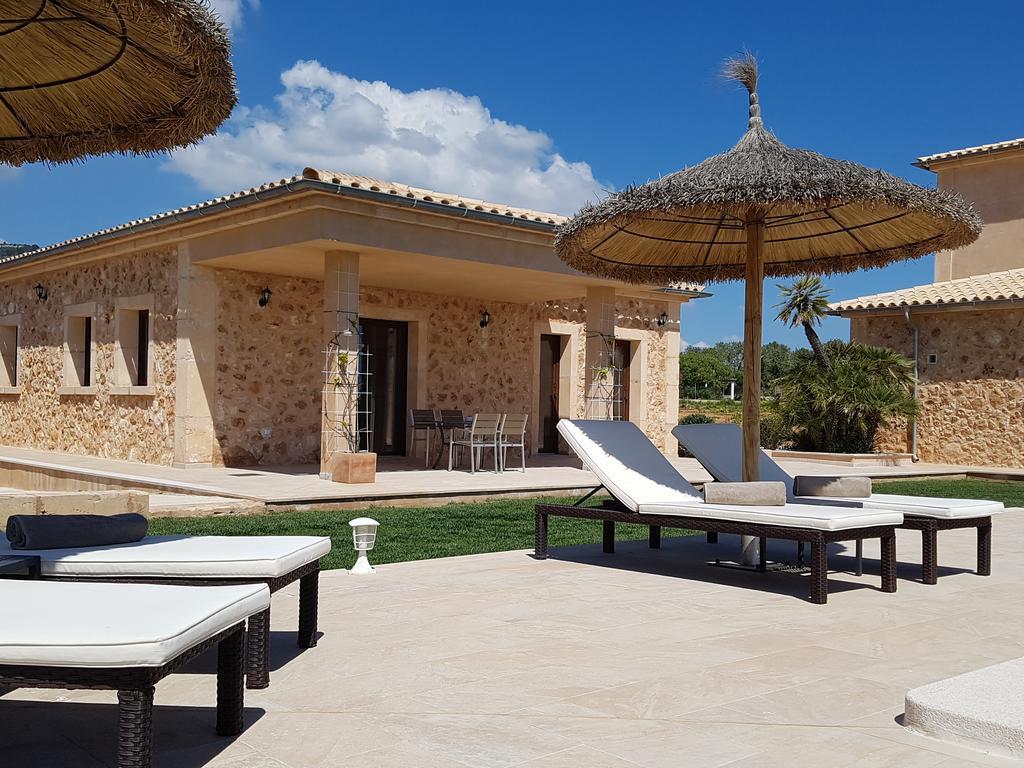 Alegria - Son Sampoli 4*