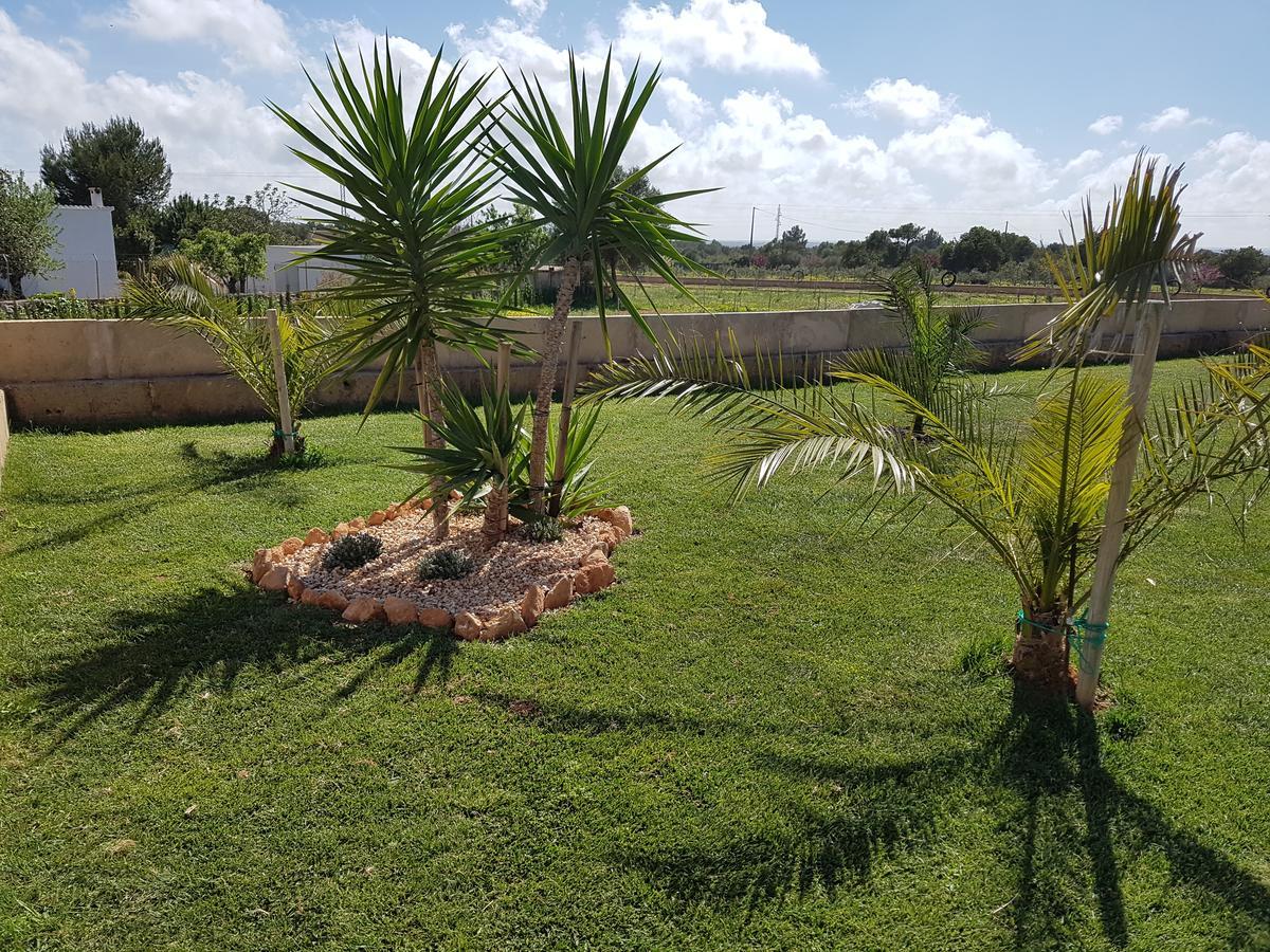 Hotel Alegria - Son Sampoli 4*