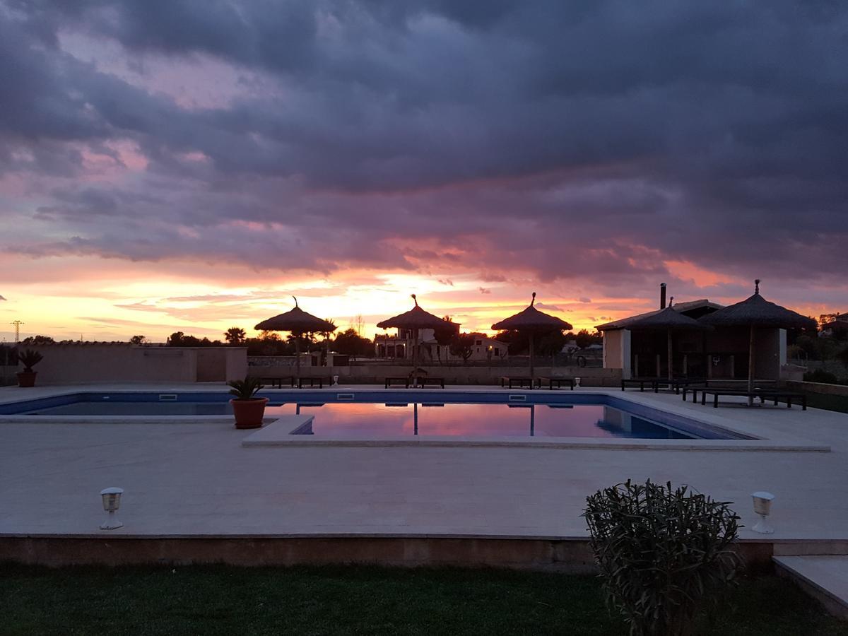 Alegria - Son Sampoli